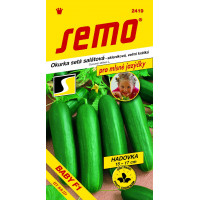 Semo Uhorka šalátová - Baby F1 10 semien - Hadovka, mlsné jazýčky, veľmi krátka