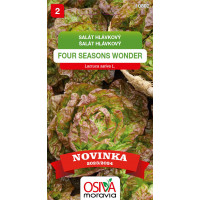 Seva Šalát hlávkový - Four seasons wonder 0,5 g