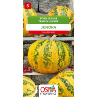 Seva Tekvica olejná - Junona, 10 semien - na semiačka
