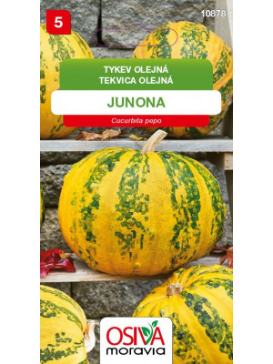 Seva Tekvica olejná - Junona, 10 semien - na semiačka