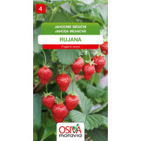 Seva Jahoda Mesačná -  Rujana 0,2 g 