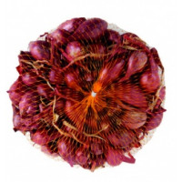 Cibuľka sadzačka červená Red Karmer/Red Baron 250 g, guľatá