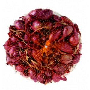 Cibuľka sadzačka červená Red Karmer/Red Baron 250 g, guľatá