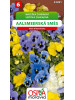 Seva Sirôtka záhradná - Aalsmmerská Zmes 0,2 g