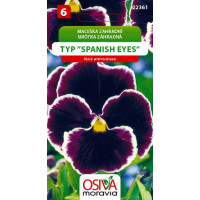 Seva Sirôtka záhradná - Spanish Eyes 20 sem.