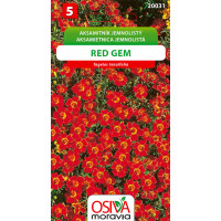 Seva Aksamietnica jemnolistá červená - Red Gem 0,2 g