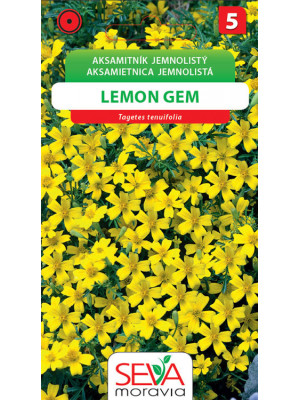 Seva Aksamietnica jemnolistá žltá - Lemon Gem 0,2 g