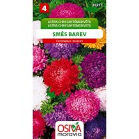 Seva Astra chrysantémokvetá -  Zmes farieb 0,5 g