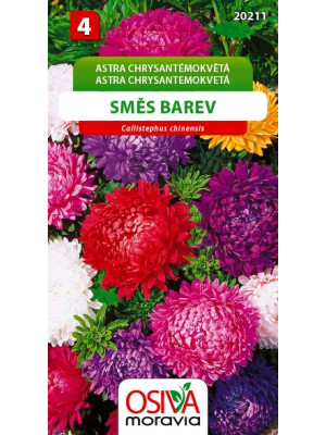 Seva Astra chrysantémokvetá -  Zmes farieb 0,5 g