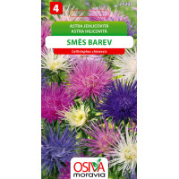 Seva Astra čínska ihlicovitá - Zmes farieb 0,5 g