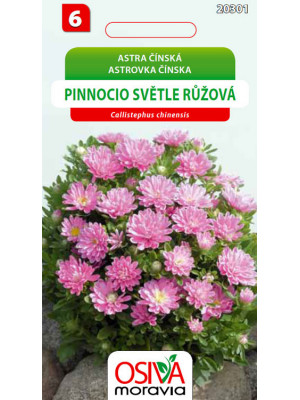 Seva Astra čínska - Pinnocio Sv. Ružová 0,3 g