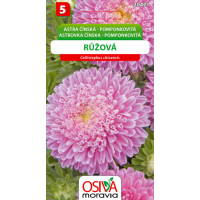 Seva Astra čínska pomponkovitá - Ružová 0,4 g