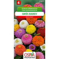 Seva Cínia georgínokvetá -  Zmes farieb 1 g