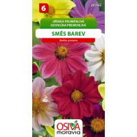 Seva Georgína premenlivá - Zmes 0,8 g