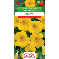Seva Kapucínka nízka - Žltá  10 sem.
