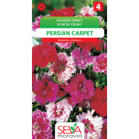 Seva klinček čínsky -  Persian Carpet 0,3 g