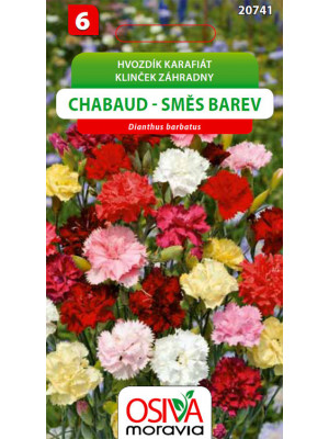 Seva Klinček záhradný - Chabaud Zmes farieb 0,5 g