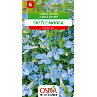 Seva Lobelka drobná - Svetlo modrá 0,2 g
