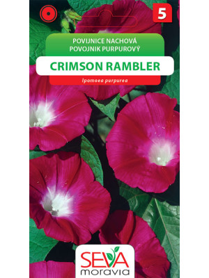 Seva Povojník Purpurový  - Crimson Rambler 3 g