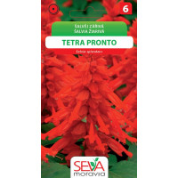 Seva Šalvia žiarivá - Tetra Pronto červená 0,3 g