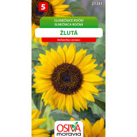 Seva Slnečnica ročná  - Žltá  1 g