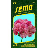 Semo Muškát Horizont Ripple Raspberry 11 sem.