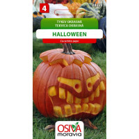Seva Tekvica okrasná - Halooween 10 sem.