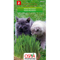 Seva Tráva pre mačky 20 g