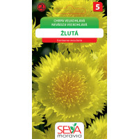 Seva Nevädza Veľkohlavá - Žltá 0,6 g