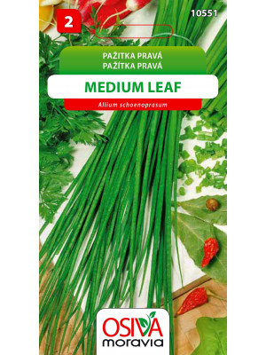Seva Pažítka pravá - Medium Leaf 1,5 g
