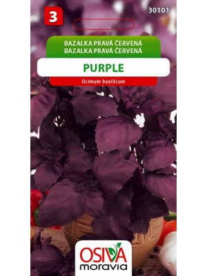 Seva Bazalka pravá červená - Purple 0,3 g