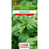 Seva Bazalka pravá - Genovese 0,3 g