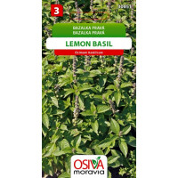 Seva Bazalka pravá -  Lemon Basil 0,3 g