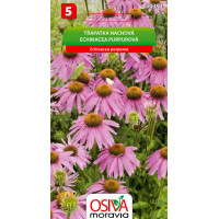 Seva Echinacea purpurová 0,5 g