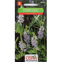 Seva Jastrabina lekárska 0,5 g