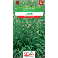 Seva Skorocel kopijovitý - Libor 1 g