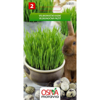 Seva Veľkonočná Pažiť 20 g