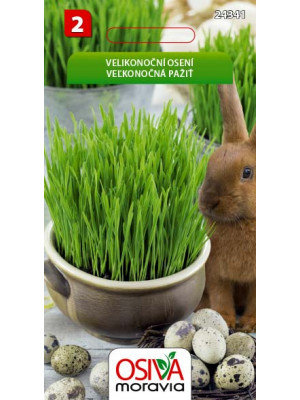 Seva Veľkonočná Pažiť 20 g