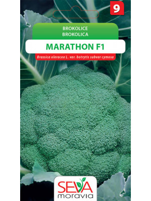Seva Brokolica - Marathon F1 30 semien - Hybrid