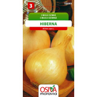 Seva Cibuľa ozimná - Hiberna 1,5 g