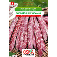 Seva Fazuľa koliková - Borlotto Di Vigevano 15 g, neskorá