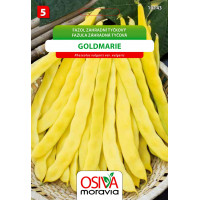 Seva Fazuľa koliková - Goldmarie 15 g