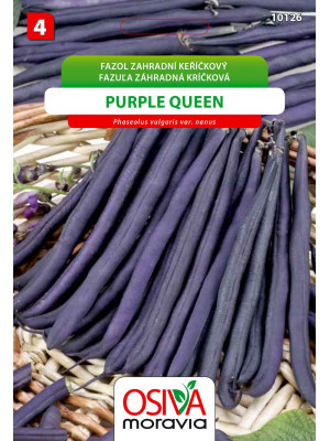 Seva Fazuľa kríčková  - Purple Queen 20 g