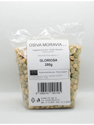Seva Hrach siaty skorý - Gloriosa 250 g, poliehavý