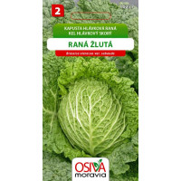 Seva Kel hlávkový - Skorý Žltý  0,8 g