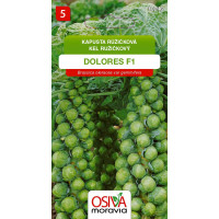 Seva Kel Ružičkový - Dolores F1 0,2 g HYBRID