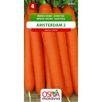 Seva Mrkva skorá - Amsterdam 2 3g
