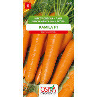 Seva Mrkva skorá - Kamila F1 2 g  
