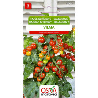 Seva Rajčiak kríčkový balkónový - Vilma 0,15 g