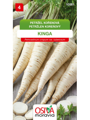 Seva Petržlen koreňový  - Kinga 4 g - stredne neskorý
